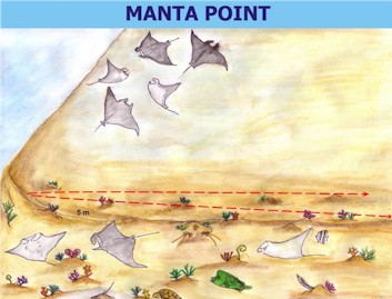 Boduhiti Manta Thila